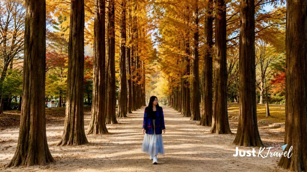 Woman walking through Nami Island's Metasequoia Lane surrounded by autumn foliage in Korea