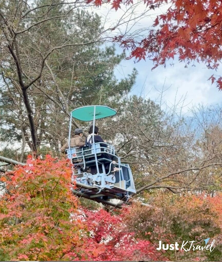 Sky Bike at Nami Island surrounded by colorful autumn foliage
