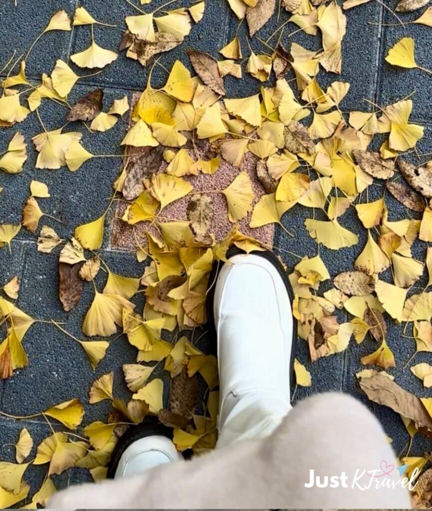 White boots walking along a Seoul street covered with autumn ginkgo leaves