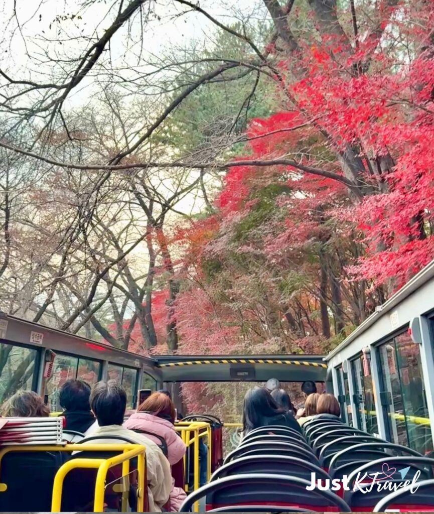 Seoul City Tour Bus driving through Seoul with autumn foliage in the background