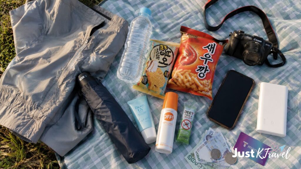 Essentials to bring to the Seoul Fireworks Festival including water, snacks, camera and power bank