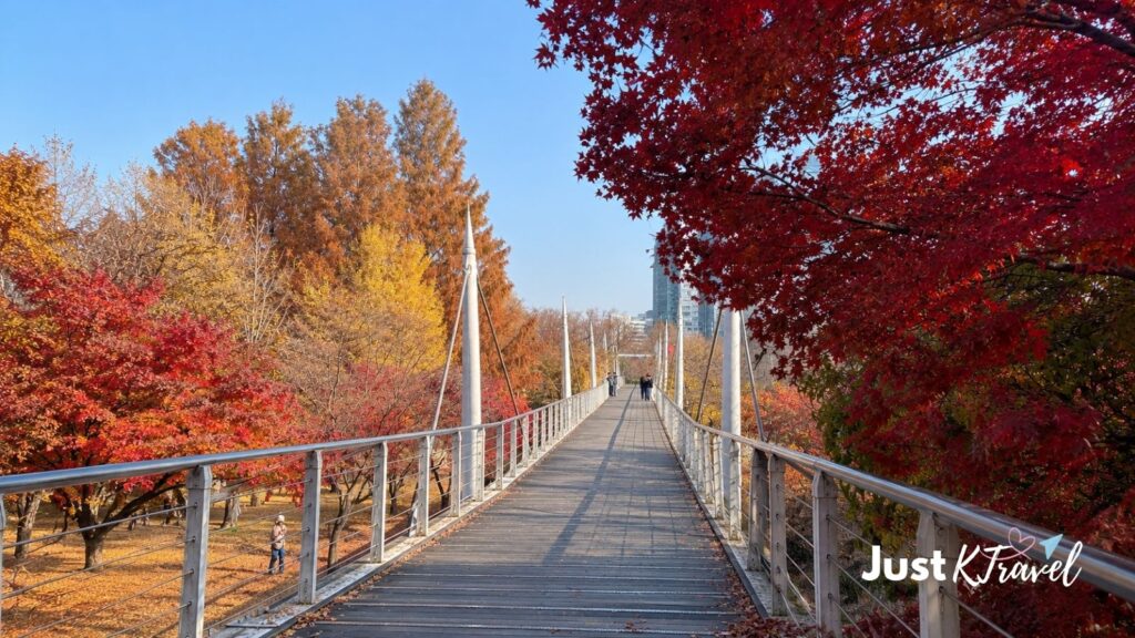 Bridge in Seoul Forest surrounded by colorful autumn foliage