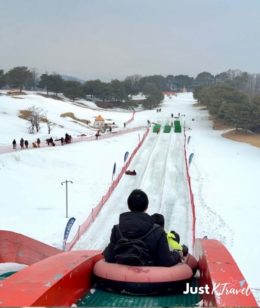 Visitor sledding at Vivaldi Park Snowyland in South Korea