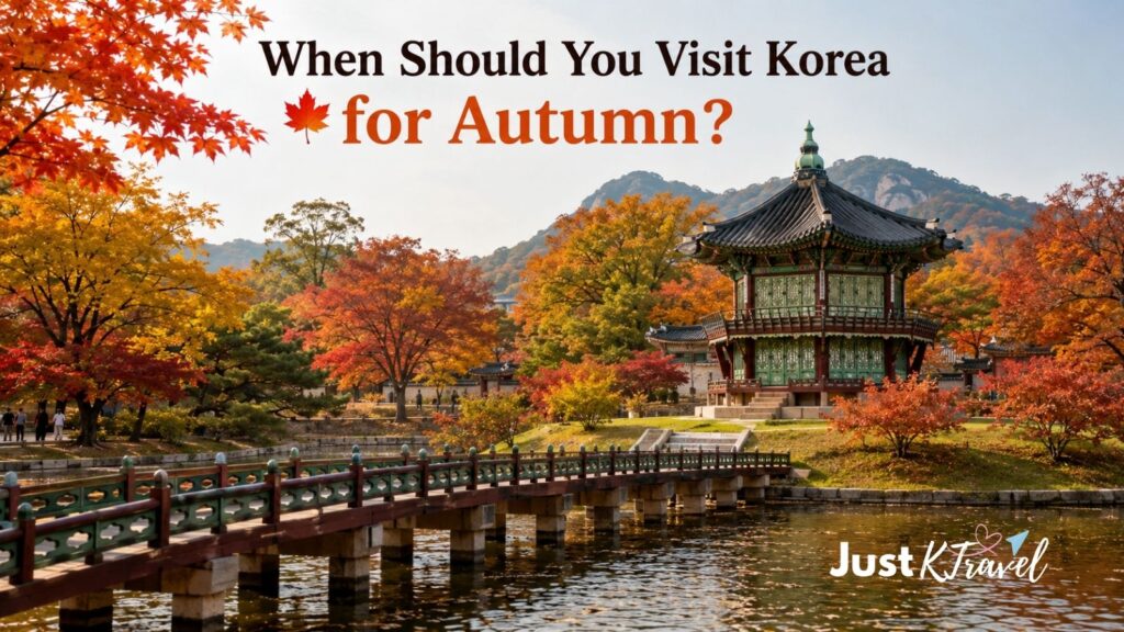 Autumn foliage in South Korea showing colorful trees during peak fall season