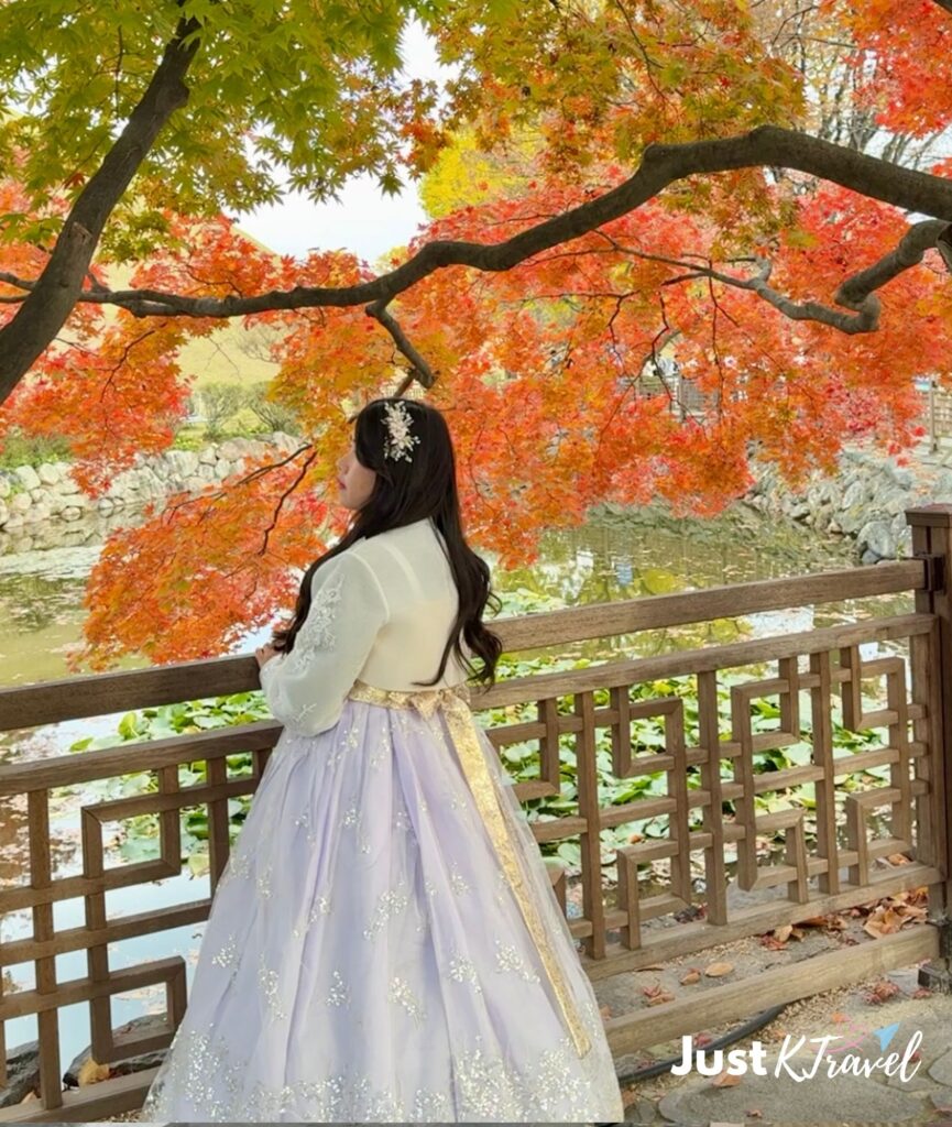 Autumn foliage in South Korea
