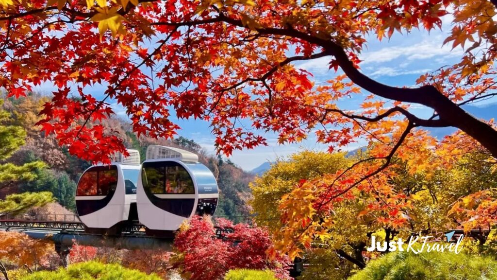 Hwadam Forest monorail surrounded by colorful autumn maple leaves in South Korea
