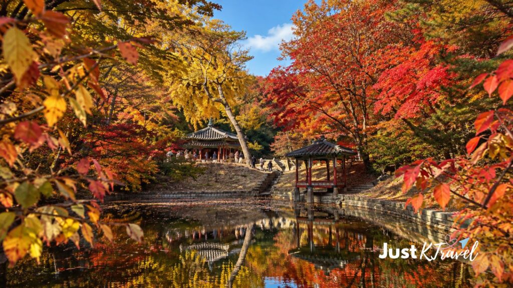 Changdeokgung Palace Secret Garden surrounded by autumn foliage