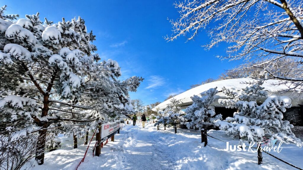 Snow-covered mountain road near Hallasan Mountain in Jeju, South Korea
