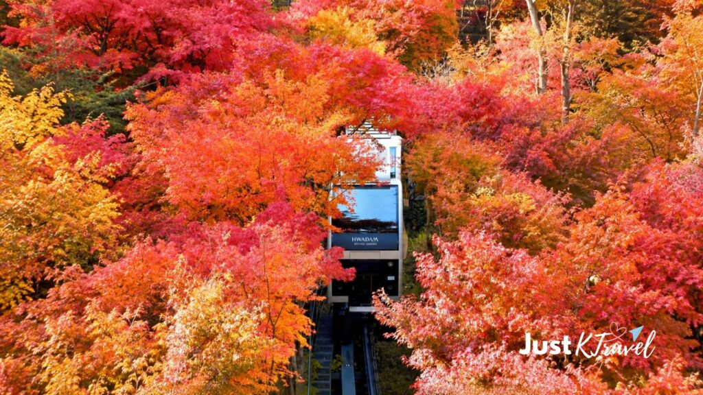 Hwadam Forest autumn foliage with monorail
