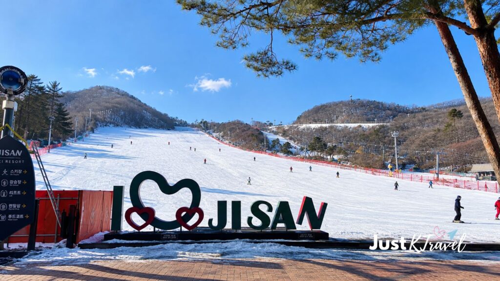 Jisan Forest Resort in South Korea, a ski destination to check for beginner slopes and winter activities
