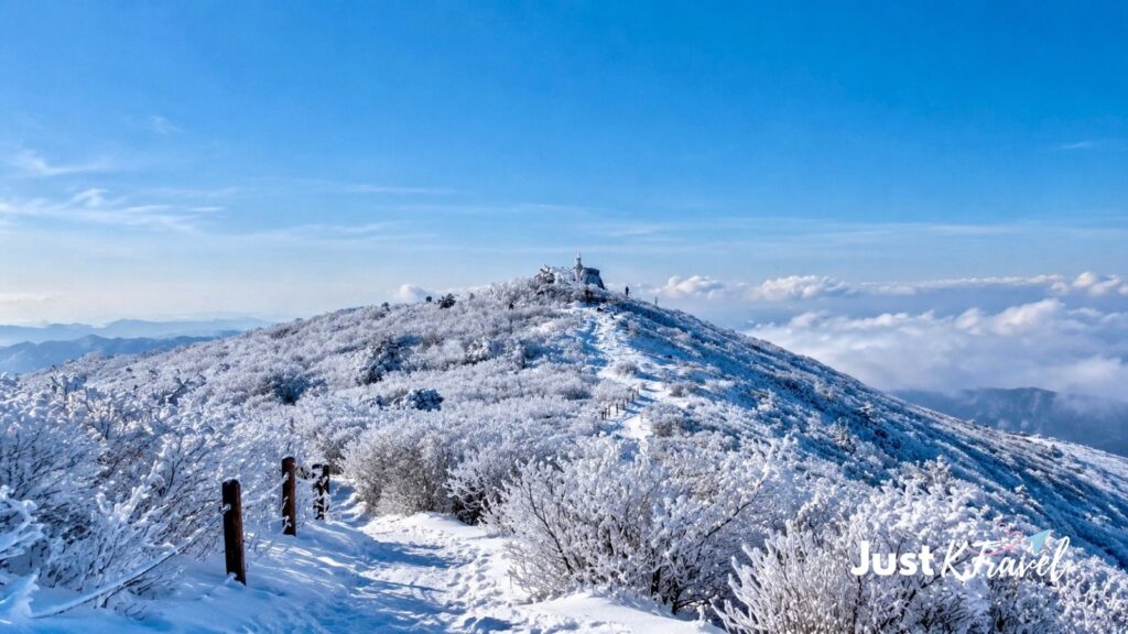 Snow-covered mountain scenery in Taebaek, South Korea, during winter